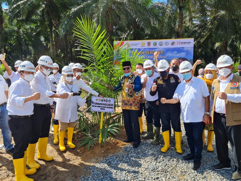 Vaksinasi dan Peremajaan Tanaman