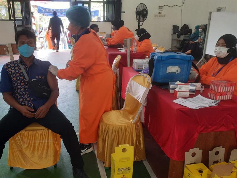 Vaksinasi dan Peremajaan Tanaman