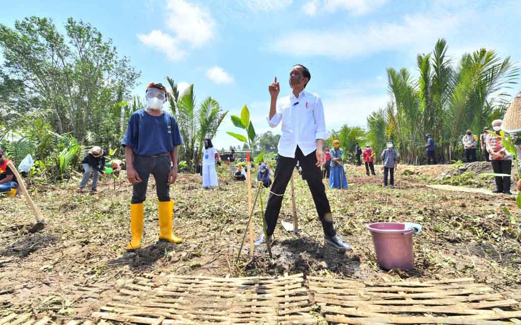 Presiden Tanam Mangrove