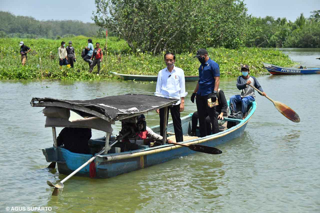 Presiden Tanam Mangrove