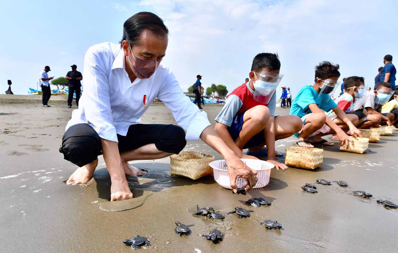 Presiden Joko Widodo Melepas Tukik