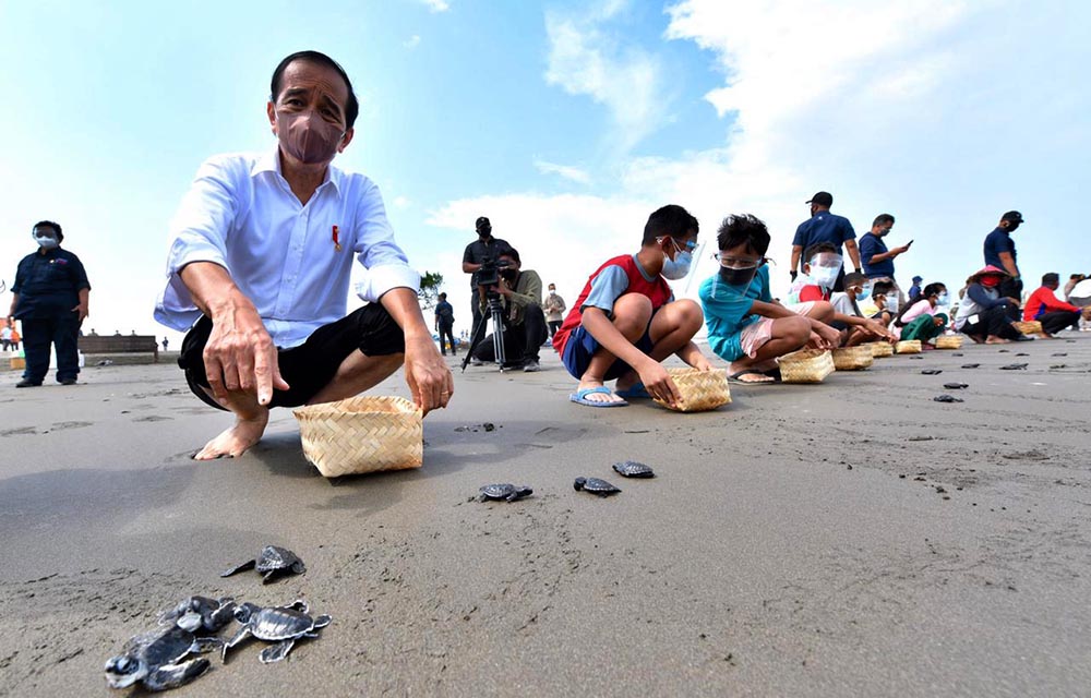 Presiden Joko Widodo Melepas Tukik