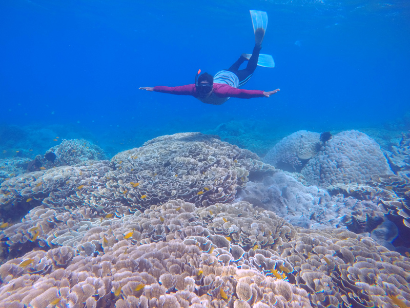 Pesona Bawah Laut GWD