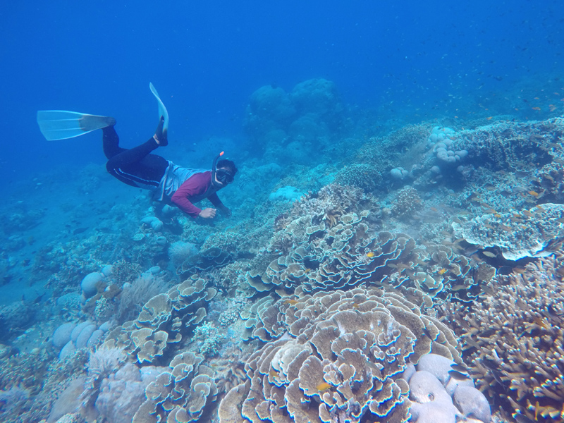 Pesona Bawah Laut GWD