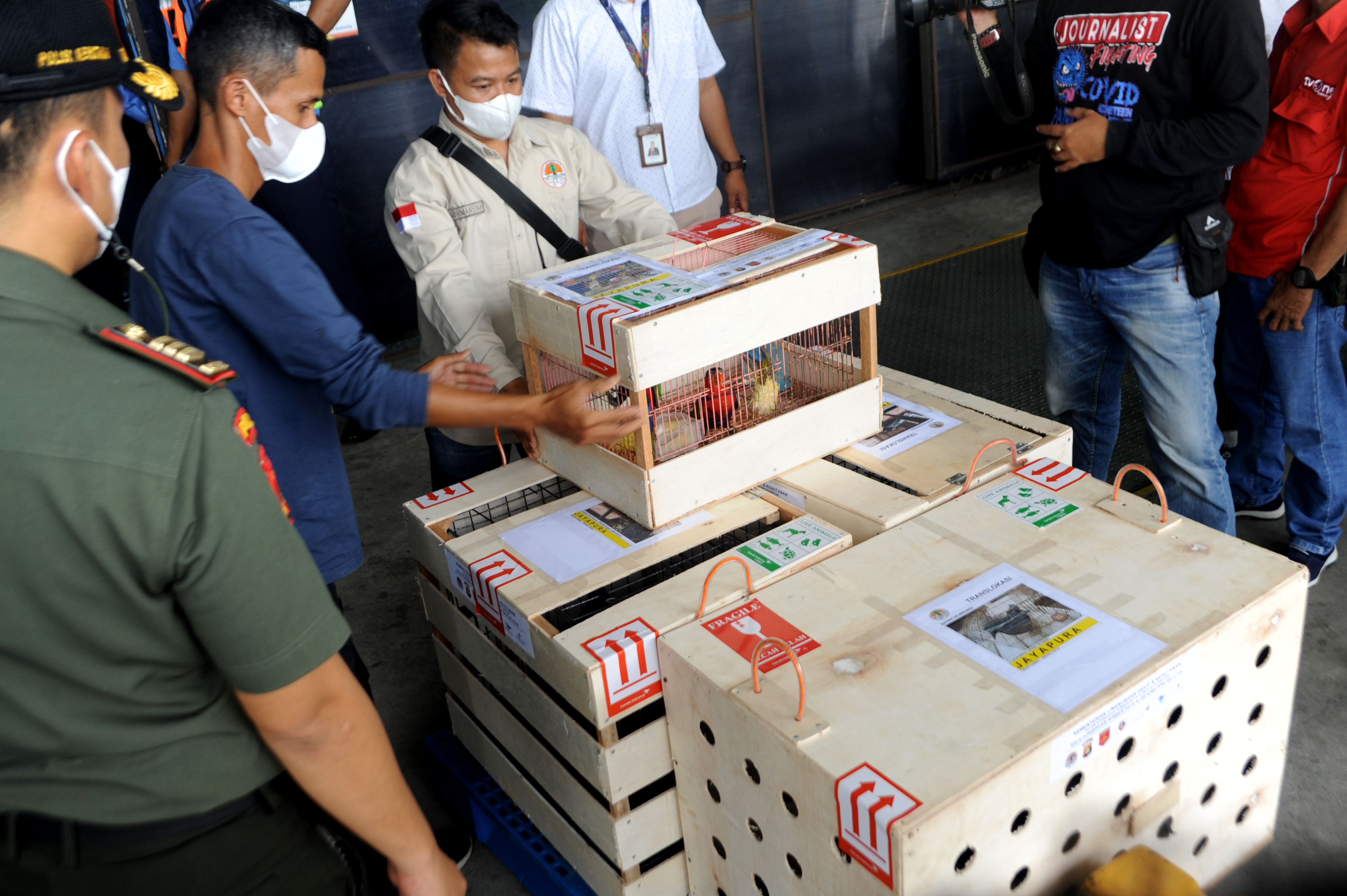 Translokasi Satwa Endemik Indonesia Timur