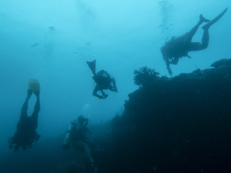 Eksplorasi Wisata Bahari Satgas KJK 2021