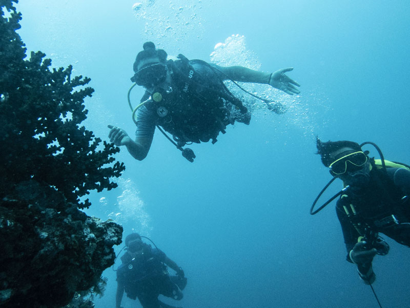 Eksplorasi Wisata Bahari Satgas KJK 2021