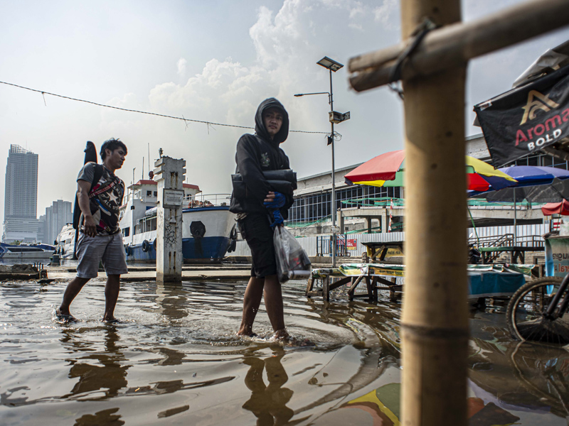 Kandungan Parasetamol Perairan Teluk Jakarta