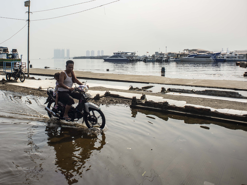 Kandungan Parasetamol Perairan Teluk Jakarta