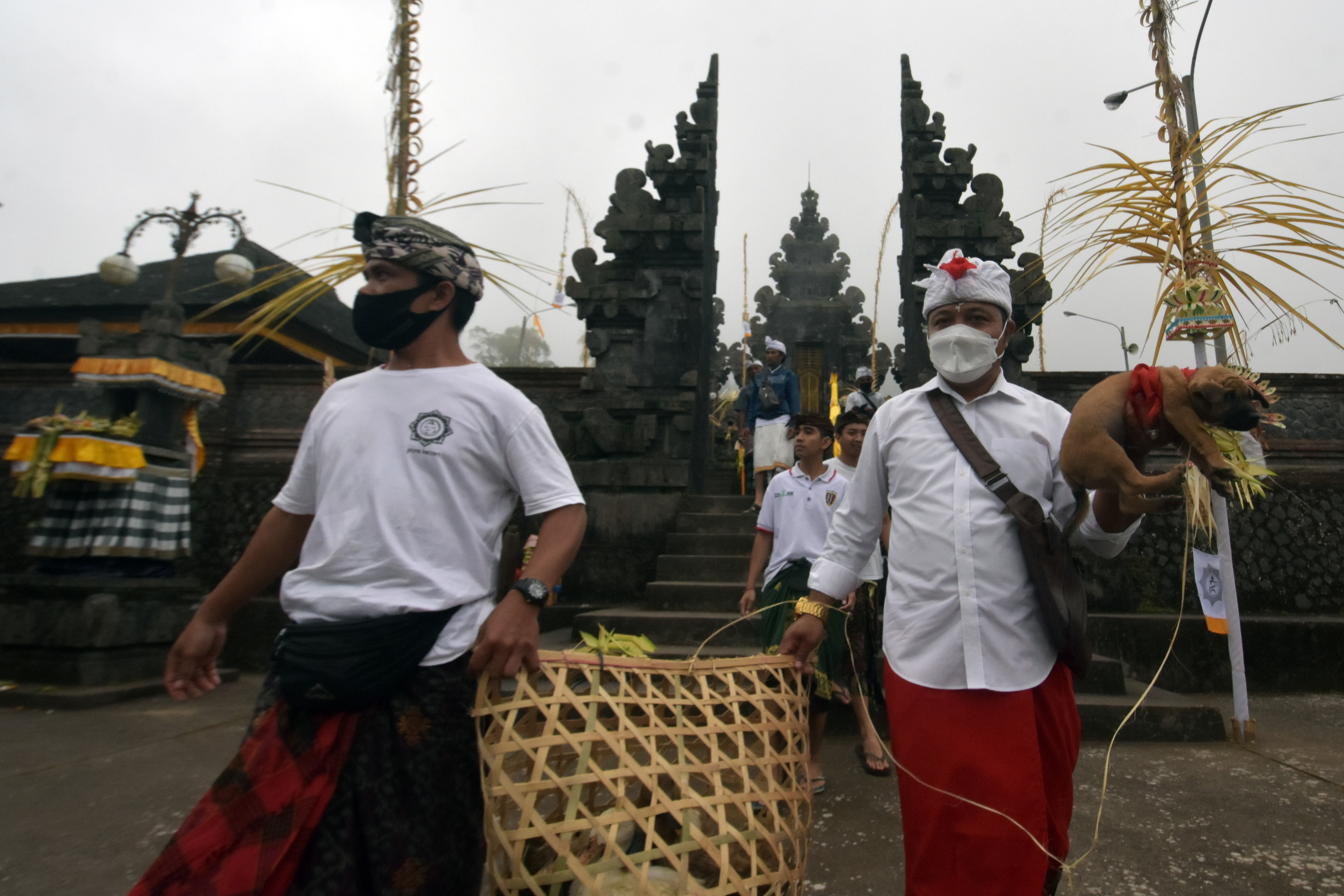Ritual Penyucian Hewan Kurban di Bali