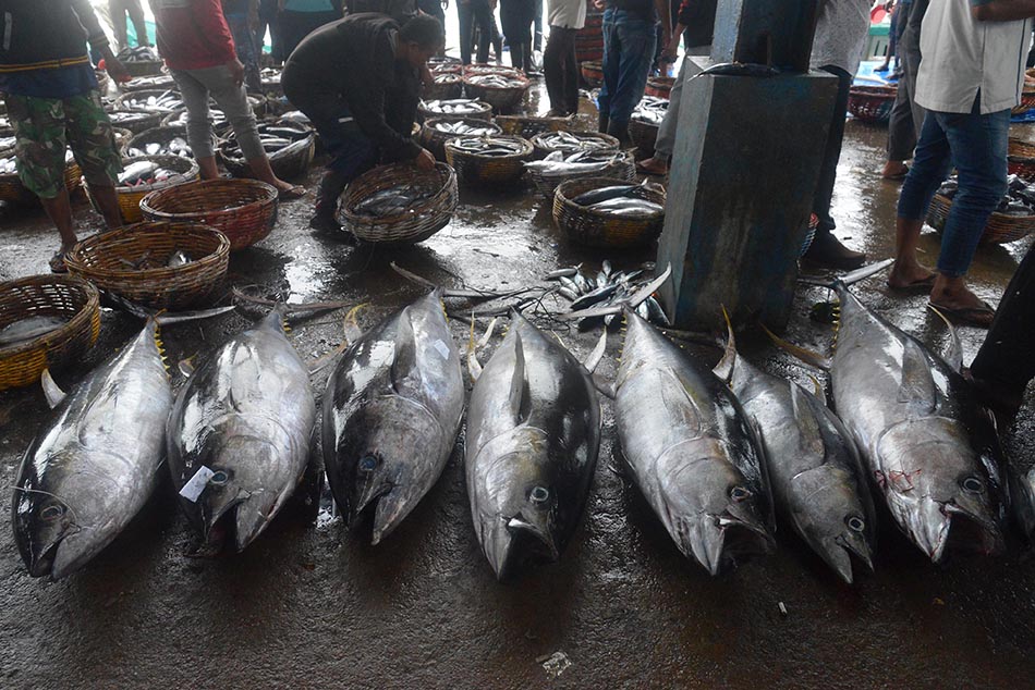 Konsumsi Ikan Guna Mencegah Stunting