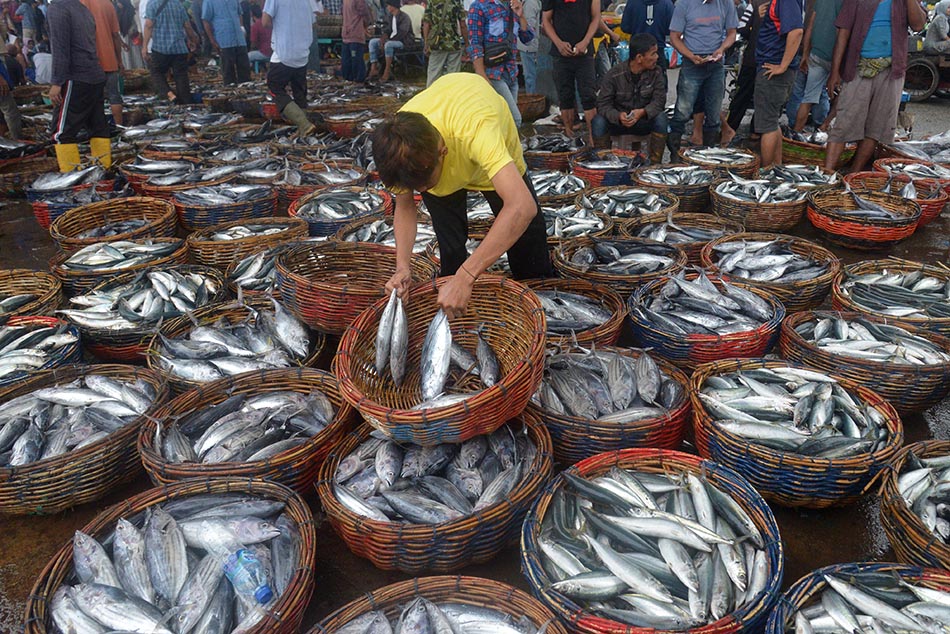 Konsumsi Ikan Guna Mencegah Stunting