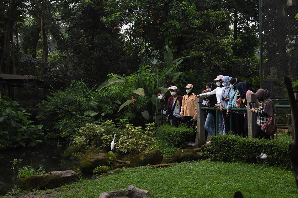 Tenaga Kesehatan RSDC Wisma Atlet Relaksasi di TMII