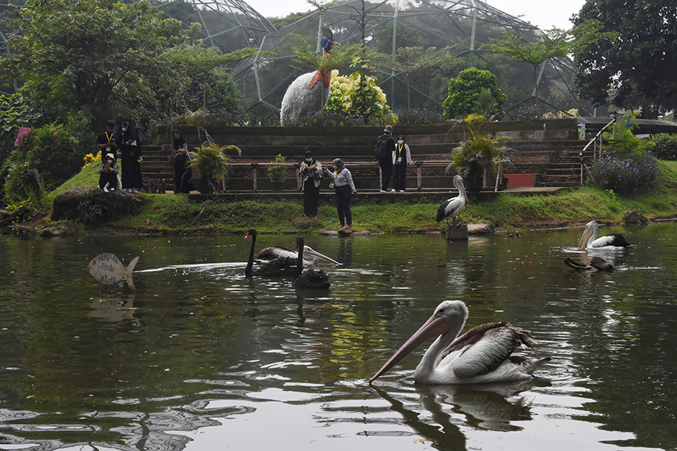 Tenaga Kesehatan RSDC Wisma Atlet Relaksasi di TMII