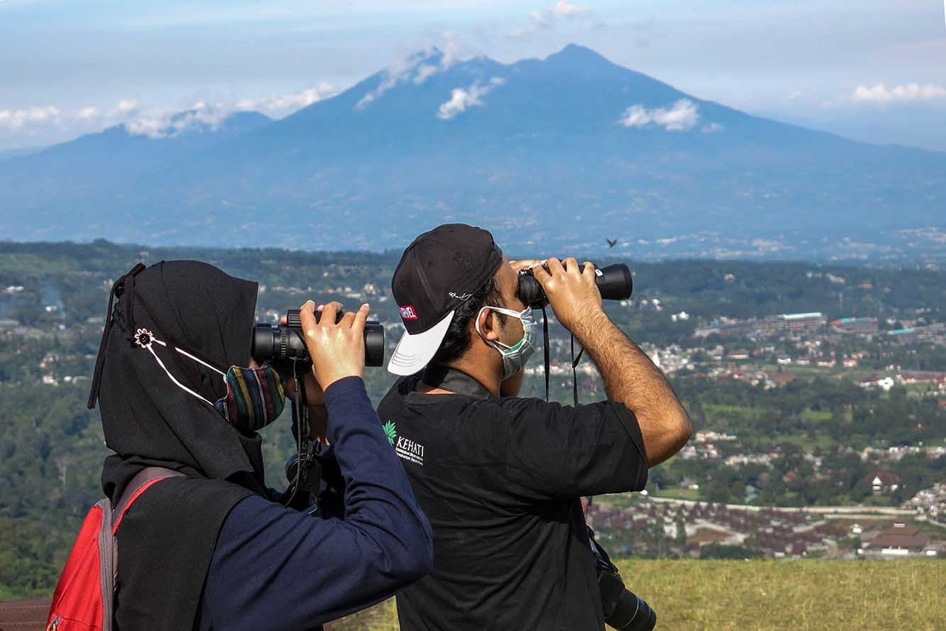 Pengamatan Migrasi Burung Pemangsa