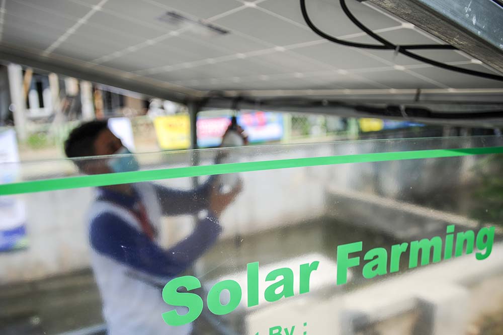 Inovasi Berkebun Dengan Paner Surya