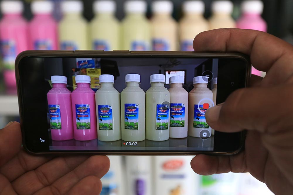 Produksi Susu Kambing Etawa