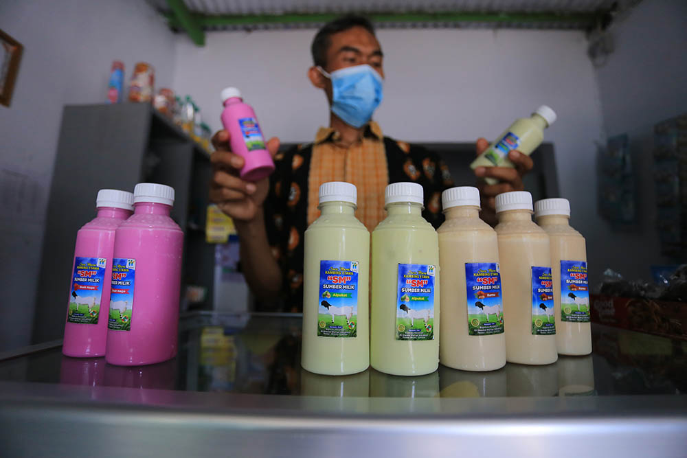 Produksi Susu Kambing Etawa