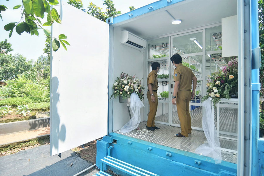 Lebih Cepat Panen dan Tidak Tergantung Sinar Matahari 