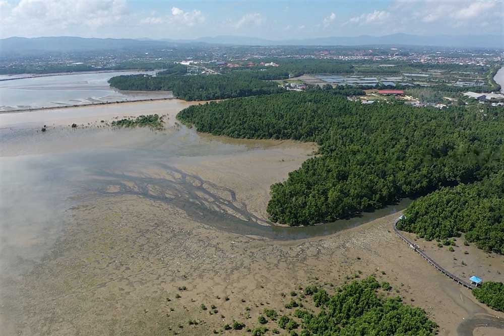 Pendangkalan Teluk Kendari