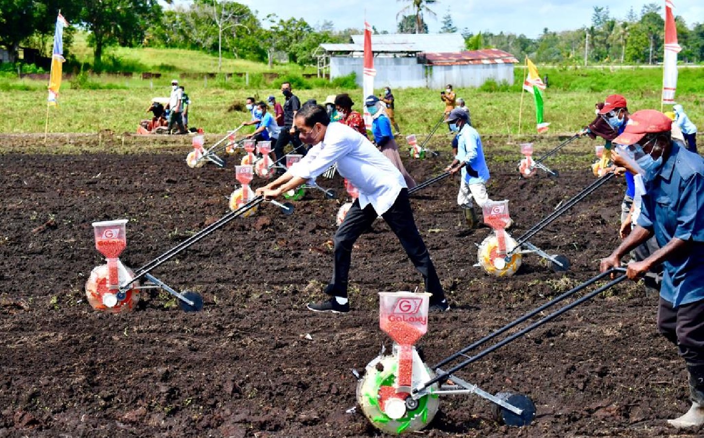 Presiden Menanam Jagung di Papua