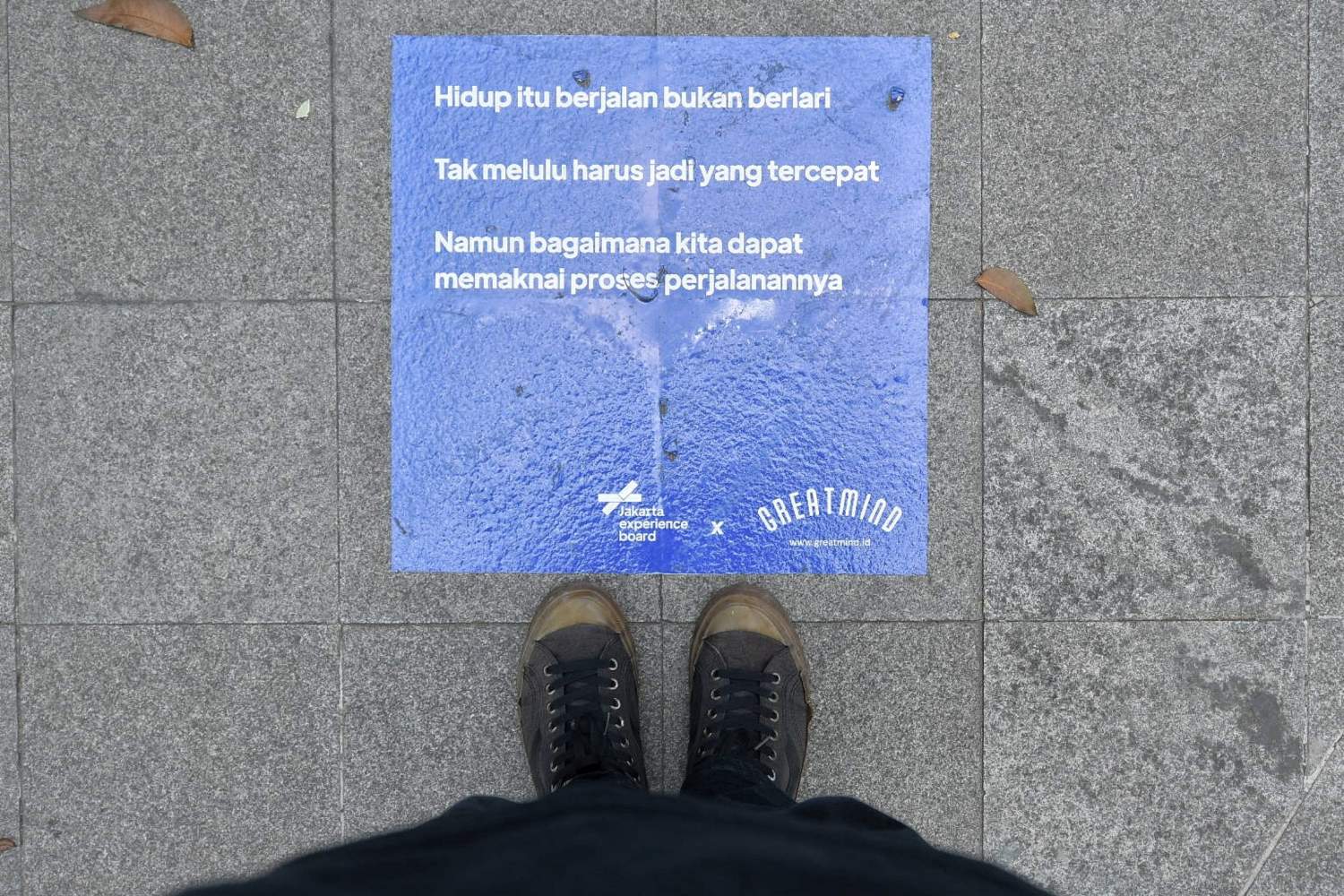 Program Creative Teaser