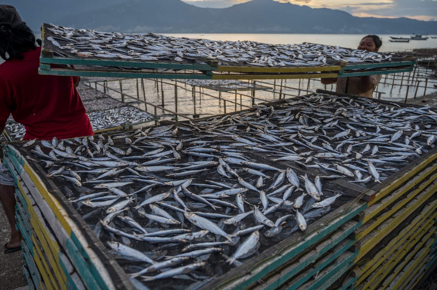 Pertumbuhan Produksi Perikanan Tangkap Nasional