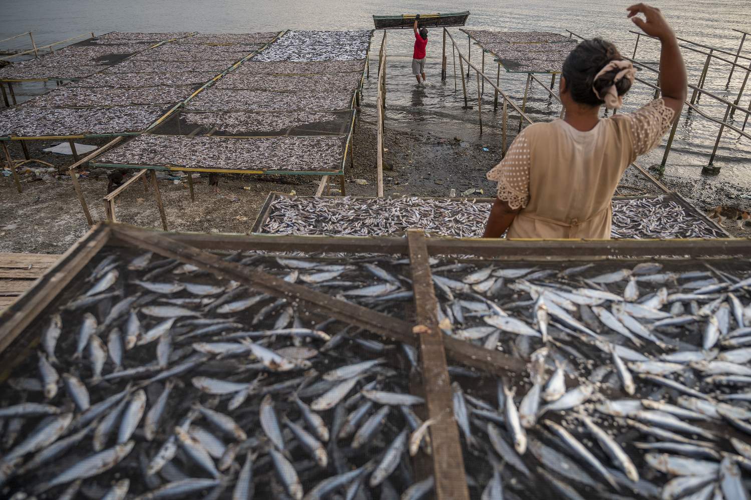 Pertumbuhan Produksi Perikanan Tangkap Nasional