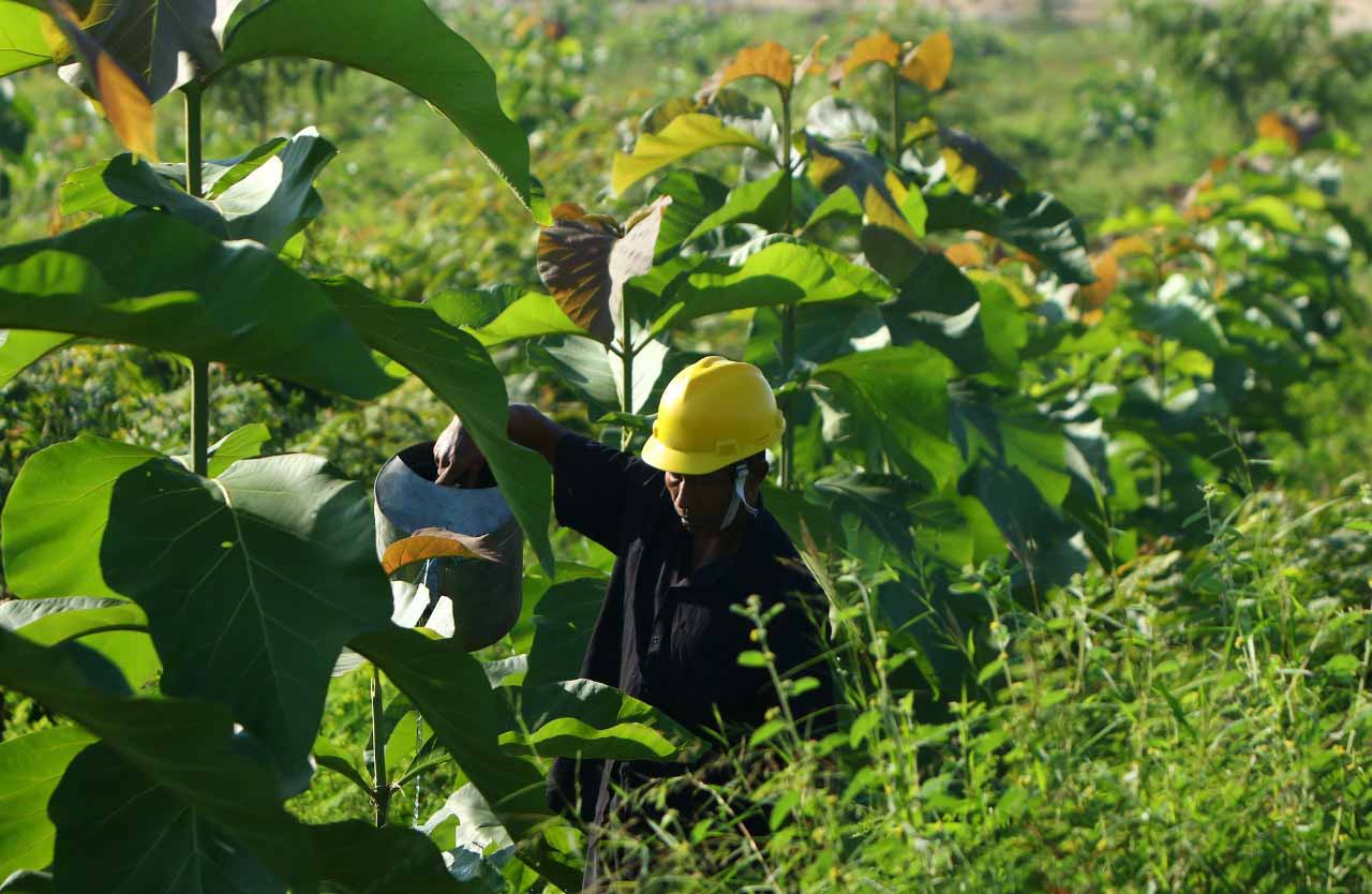 Penghargaan Penambangan Yang Baik