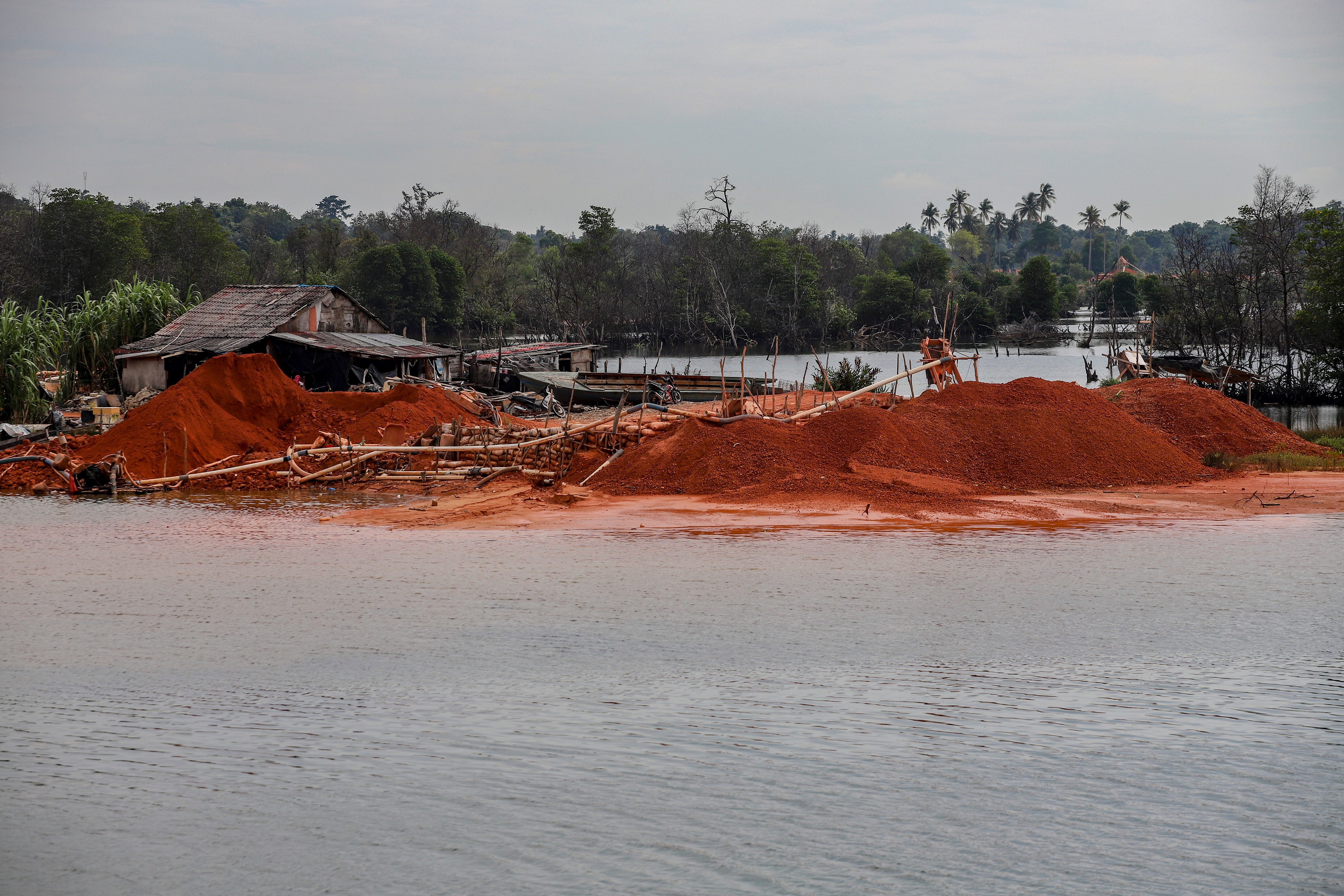 Kerusakan Hutan Mangrove di Kepri