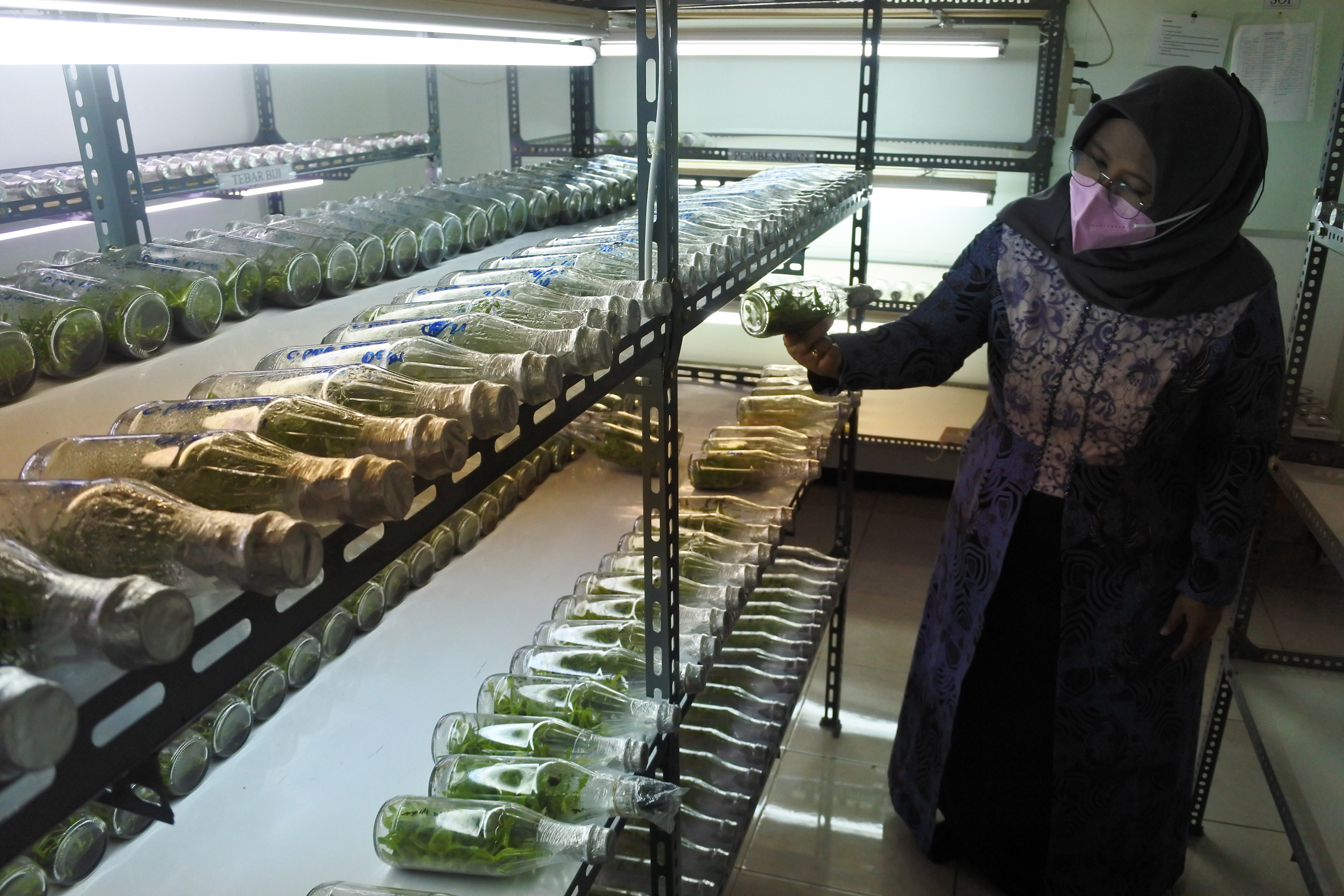 Agrotechnopark Universitas Jember