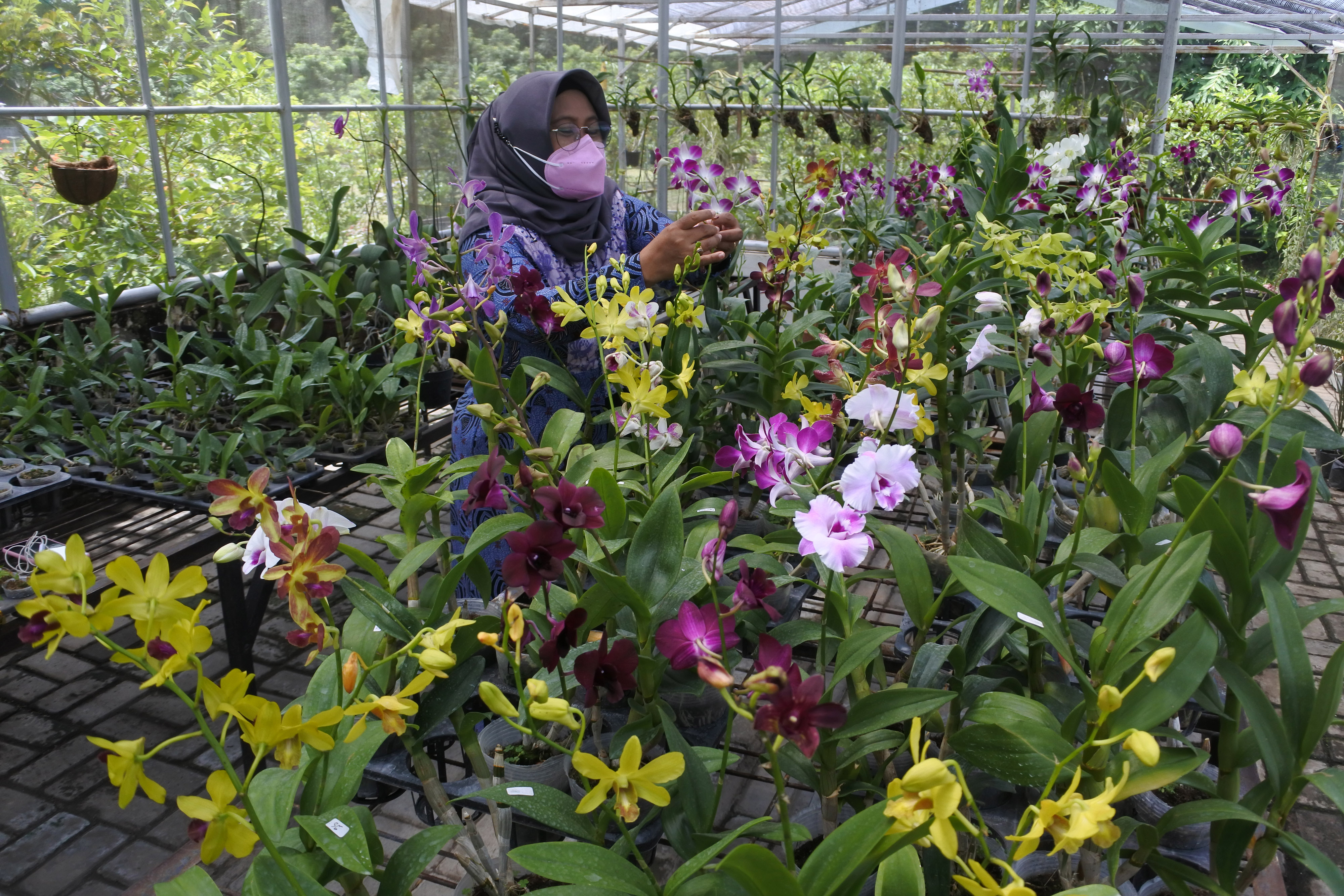 Agrotechnopark Universitas Jember