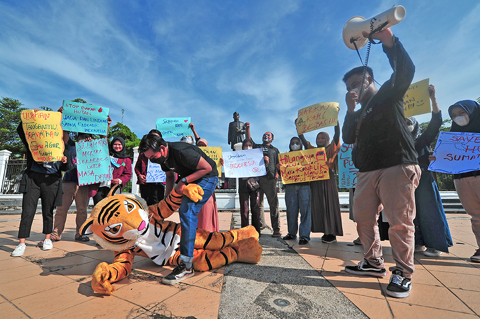 Kampanye Penyelamtan Hutan 