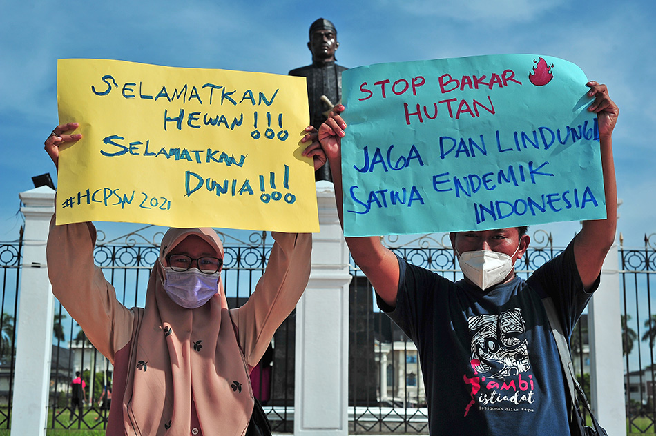 Kampanye Penyelamtan Hutan 