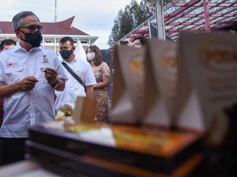 Festival UMKM Toba Vaganza