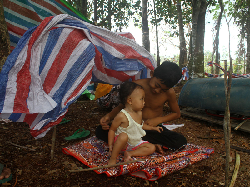 Korban Banjir Mengungsi Di Hutan