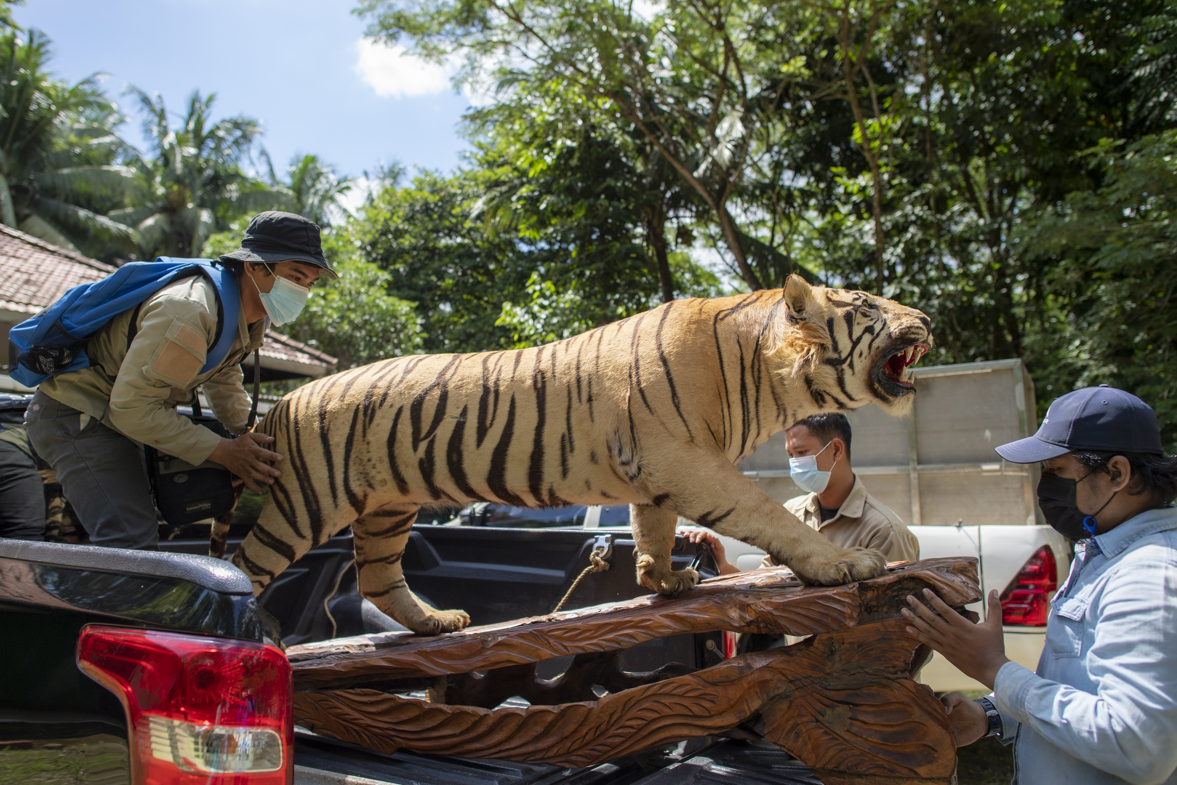 Penyitaan Offset dan Satwa Dilindungi