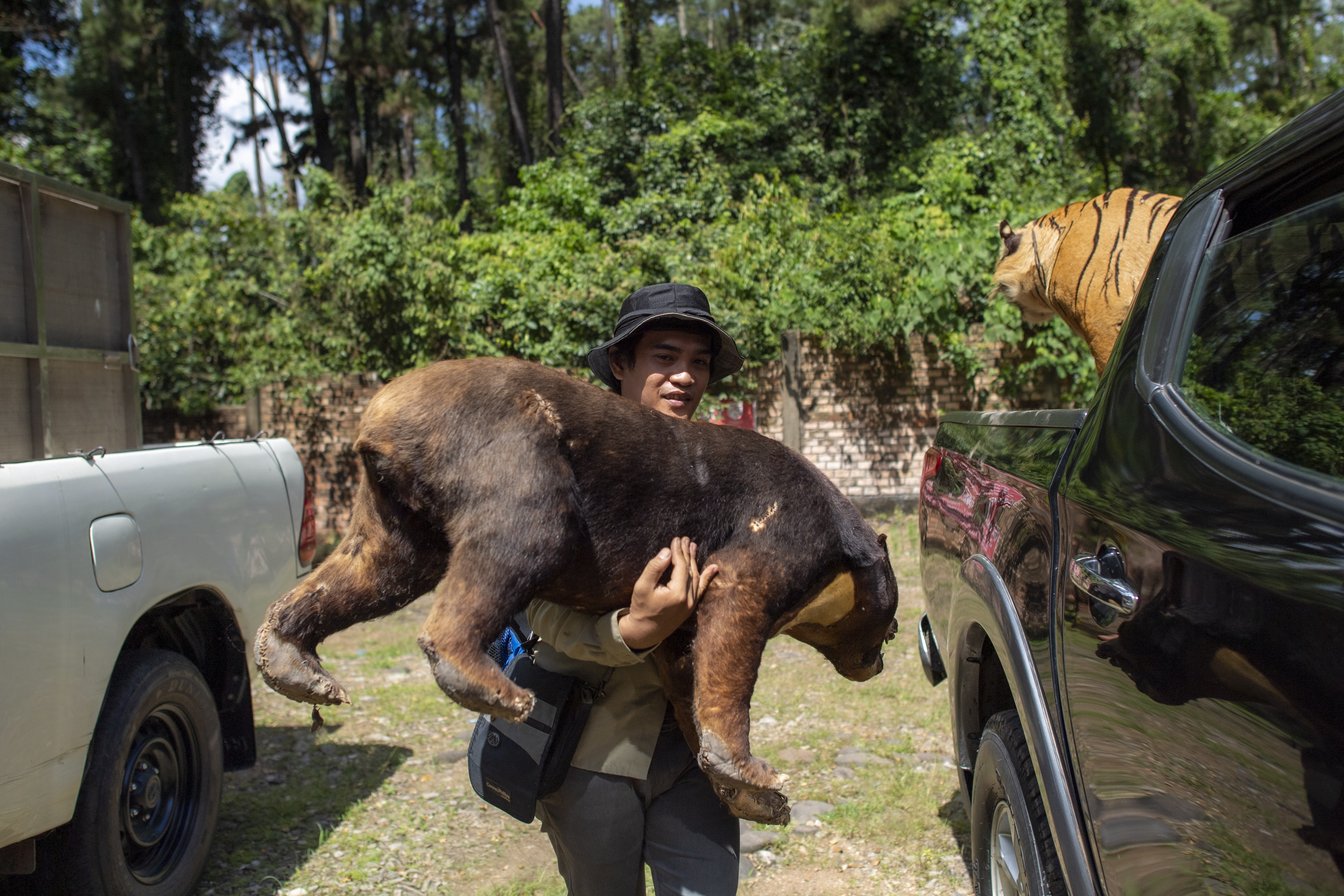 Penyitaan Offset dan Satwa Dilindungi