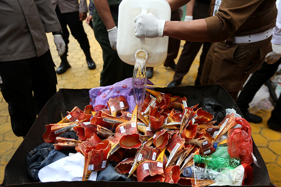 Pemusnahan Barang Bukti Kulit Harimau Sumatera 