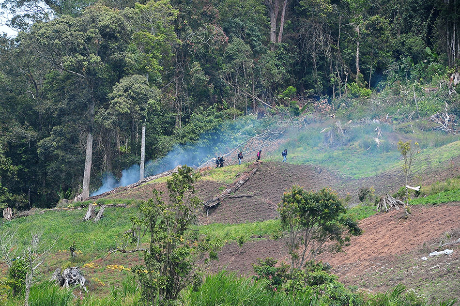 Perambahan di kawasan Taman Nasional Kerinci Seblat
