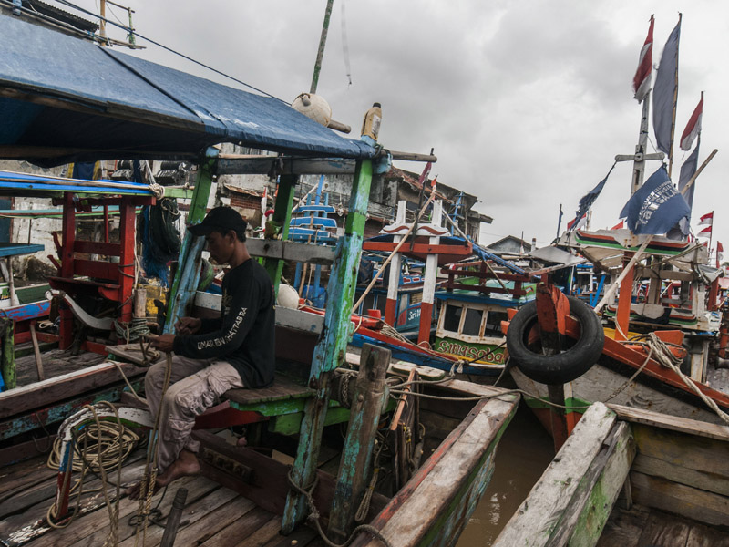 Kebijakan Penangkapan Terukur Dongkrak Koperasi Nelayan