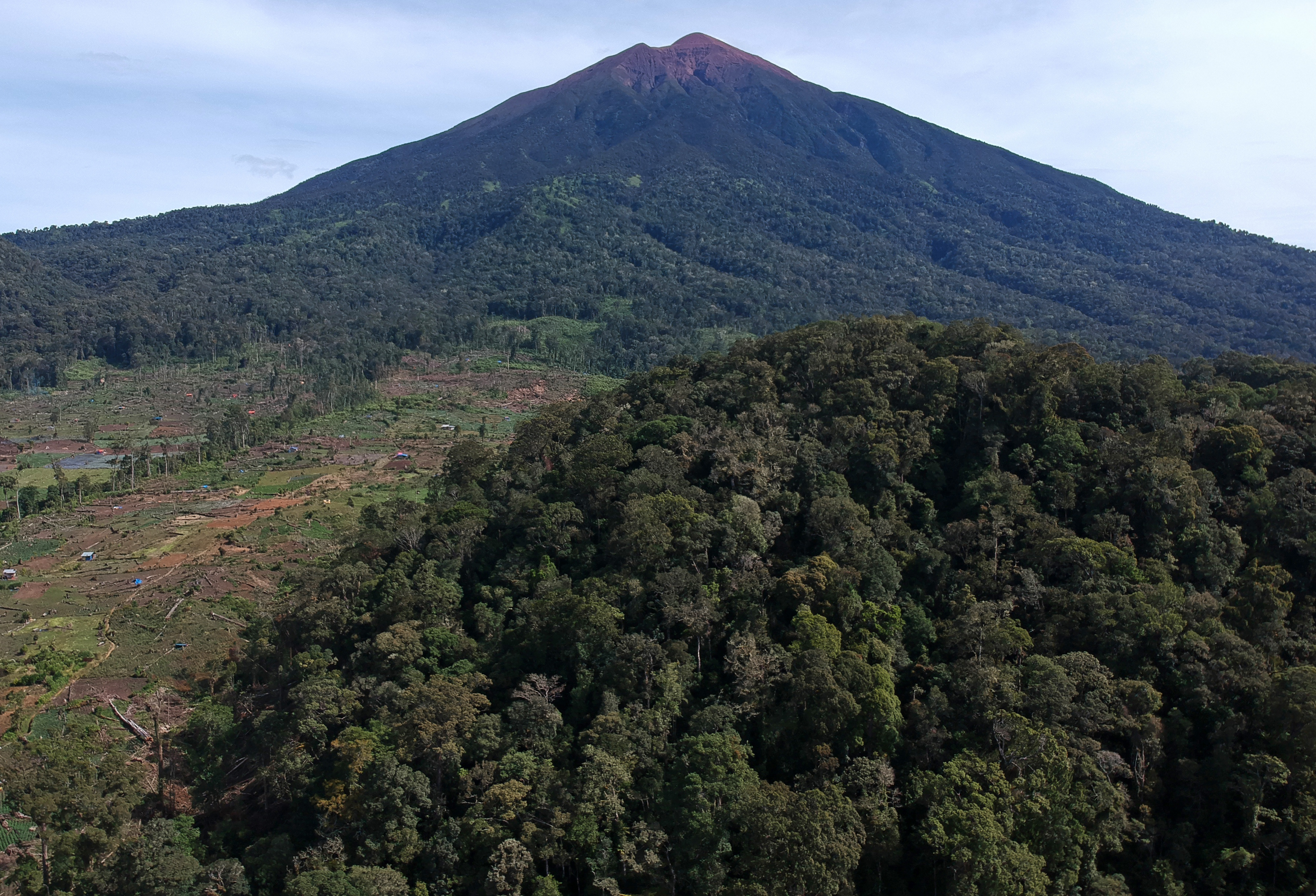 Perambahan Hutan di Kaki Gunung Kerinci
