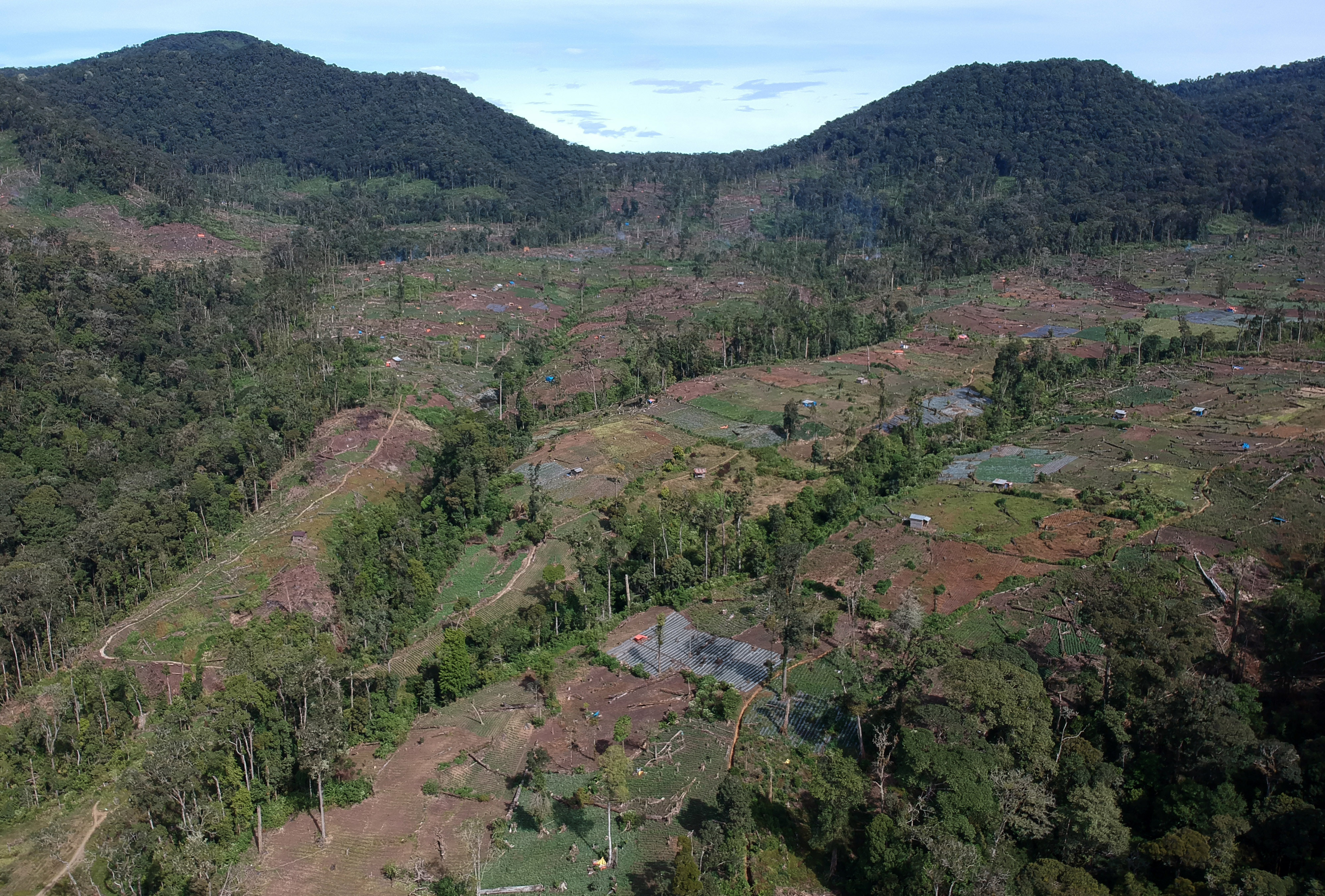Perambahan Hutan di Kaki Gunung Kerinci