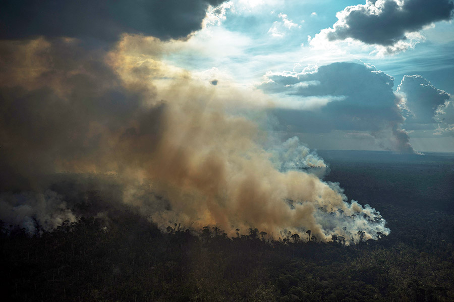 Kebakaran Hutan Amazon Mengancam 3 Juta Spesies