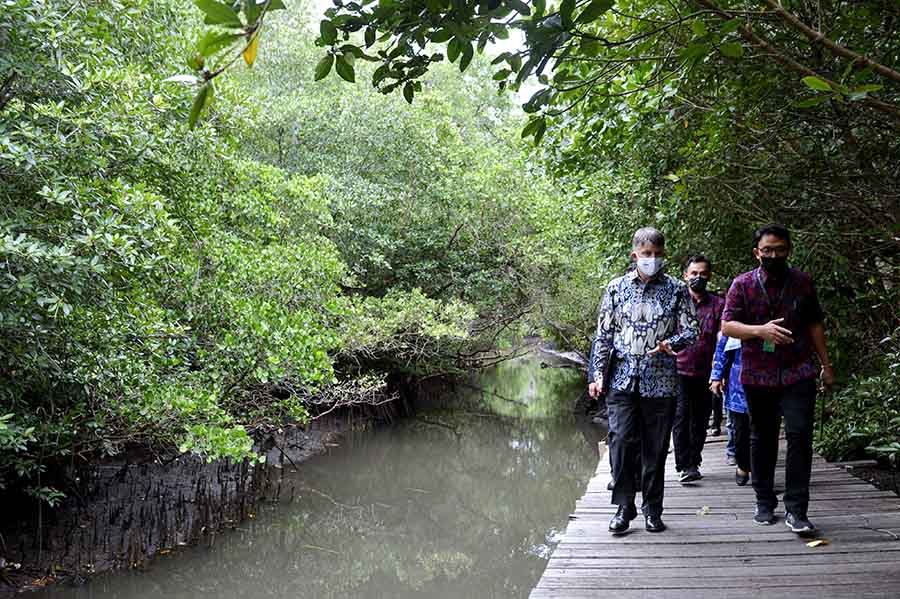 Duta Besar Inggris Kunjungi Hutan Mangrove di Bali