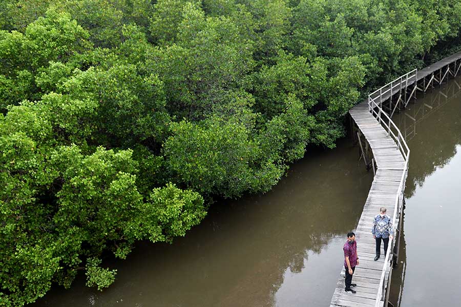 Duta Besar Inggris Kunjungi Hutan Mangrove di Bali
