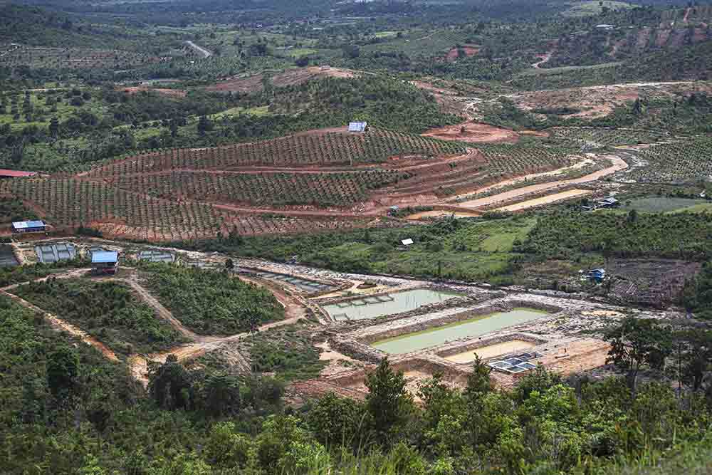 Alih Fungsi Hutan Taman Buru Rempang