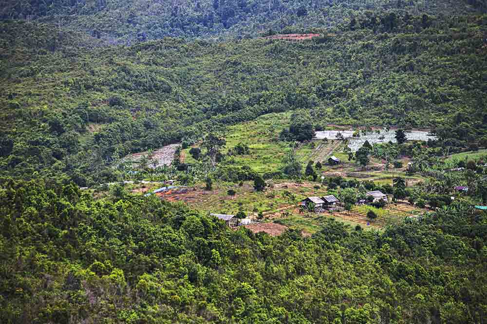 Alih Fungsi Hutan Taman Buru Rempang