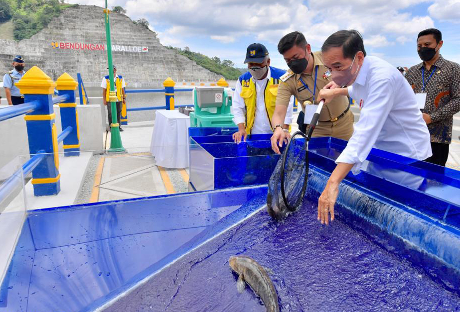 Presiden Jokowi Resmikan Bendungan Karalloe 
