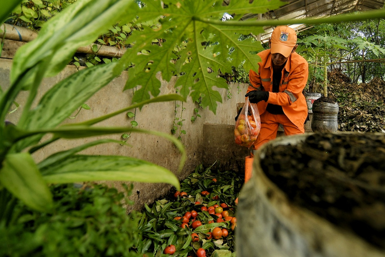 Pupuk Kompos dari Sampah Organik